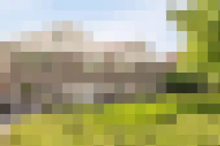 Molenrak 21 Emmeloord thumbnail 65