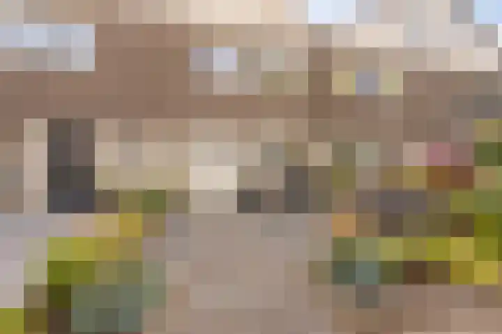 Molenrak 21 Emmeloord thumbnail 8