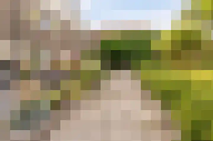Molenrak 21 Emmeloord thumbnail 9