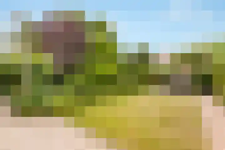 Molenrak 21 Zeewolde thumbnail 33