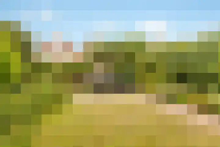 Molenrak 21 Zeewolde thumbnail 34