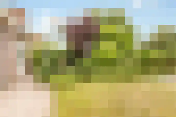 Molenrak 21 Zeewolde thumbnail 35