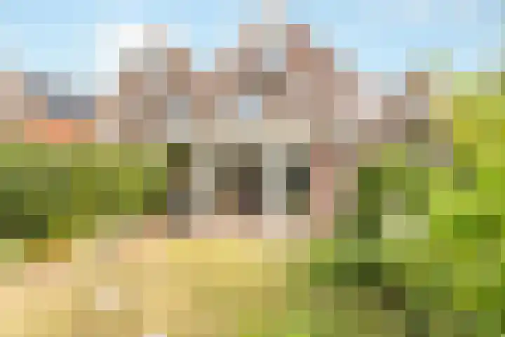 Molenrak 21 Zeewolde thumbnail 36