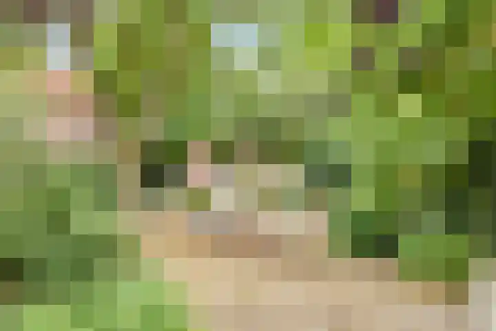 Molenrak 21 Zeewolde thumbnail 37