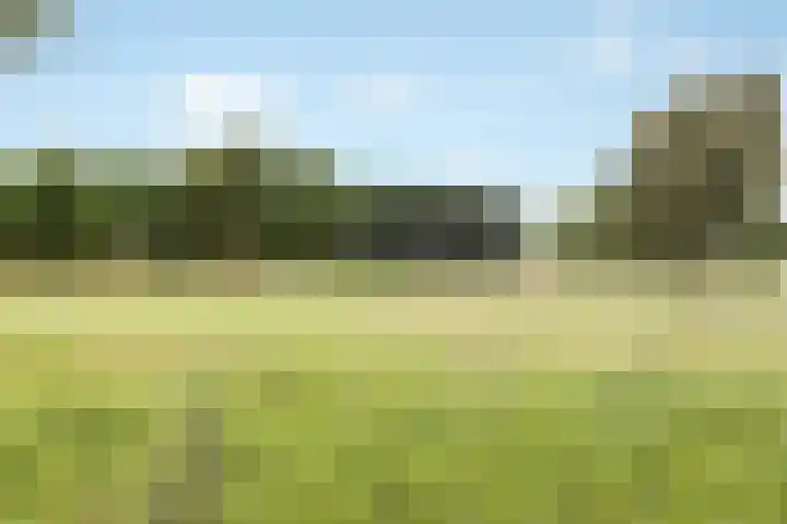 Molenrak 21 Zeewolde thumbnail 38