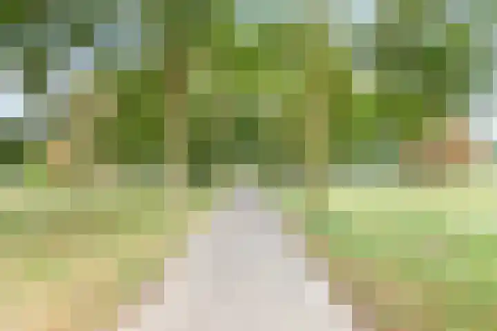 Molenrak 21 Zeewolde thumbnail 39