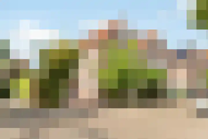 Molenrak 21 Zeewolde thumbnail 4