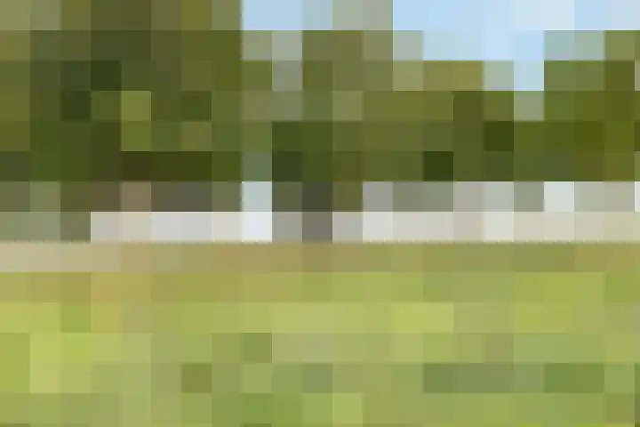 Molenrak 21 Zeewolde thumbnail 40