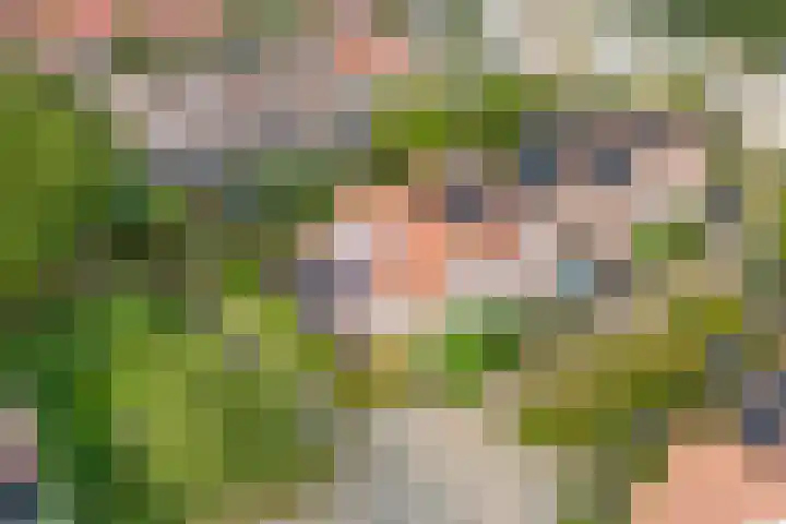 Molenrak 21 Zeewolde thumbnail 43