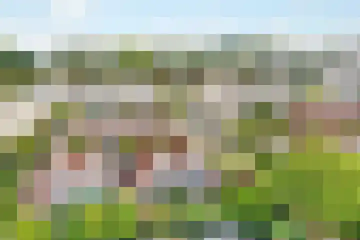 Molenrak 21 Zeewolde thumbnail 45