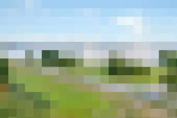 Molenrak 21 Zeewolde thumbnail 47