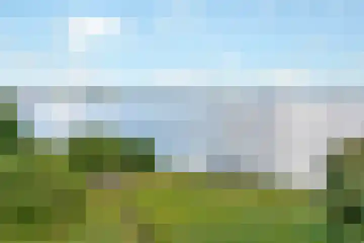 Molenrak 21 Zeewolde thumbnail 48