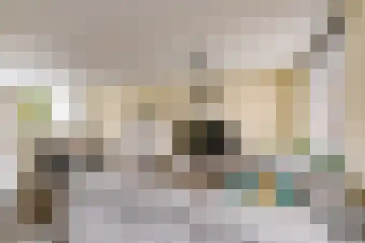 Molenrak 4 Zeewolde thumbnail 13