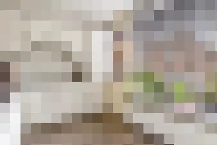 Molenrak 4 Zeewolde thumbnail 17
