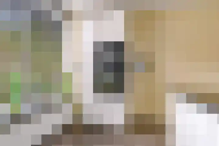 Molenrak 4 Zeewolde thumbnail 20
