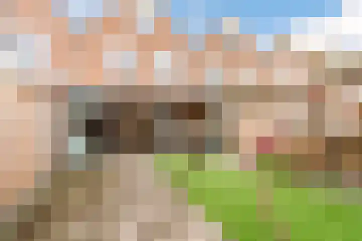 Molenrak 4 Zeewolde thumbnail 36
