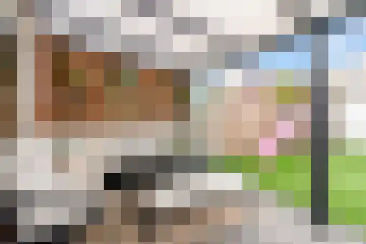 Molenrak 4 Zeewolde thumbnail 37