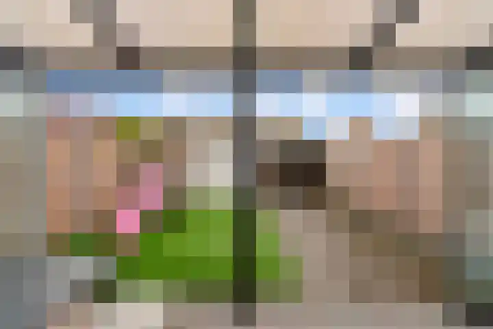Molenrak 4 Zeewolde thumbnail 39