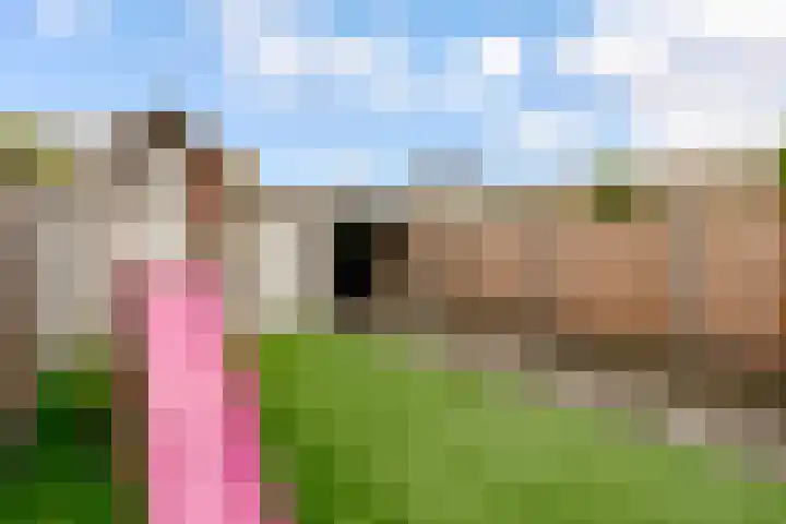 Molenrak 4 Zeewolde thumbnail 40