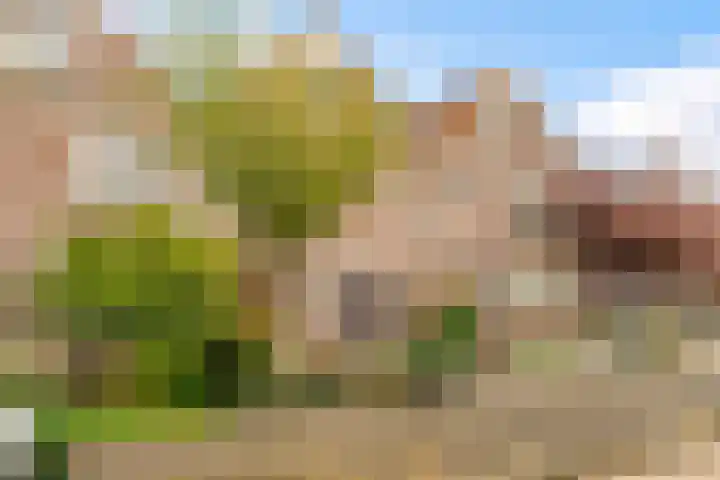 Molenrak 4 Zeewolde thumbnail 45