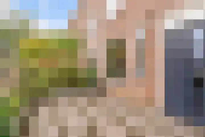 Molenrak 4 Zeewolde thumbnail 46