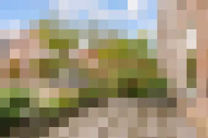 Molenrak 4 Zeewolde thumbnail 47