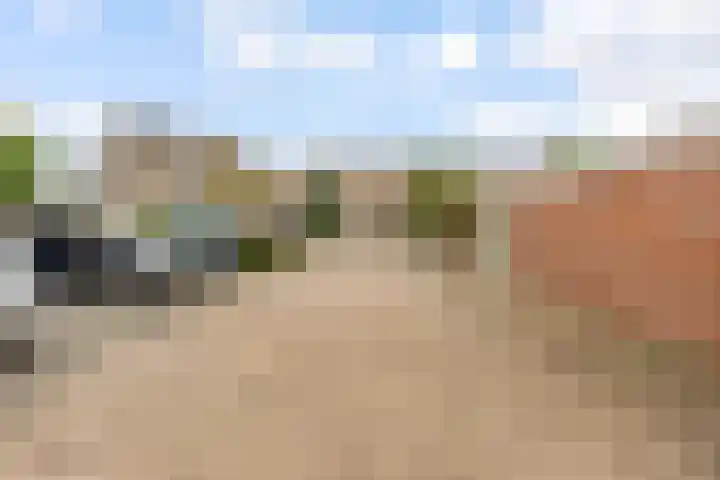 Molenrak 4 Zeewolde thumbnail 48