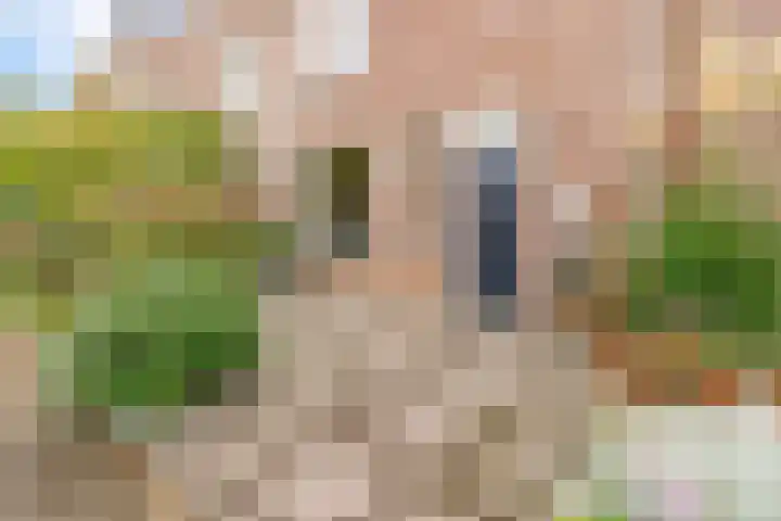 Molenrak 4 Zeewolde thumbnail 5