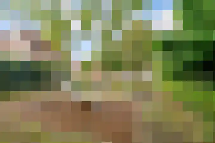 Molenrak 4 Zeewolde thumbnail 50