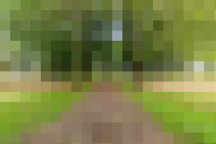 Molenrak 4 Zeewolde thumbnail 51