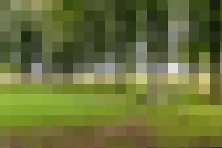 Molenrak 4 Zeewolde thumbnail 52