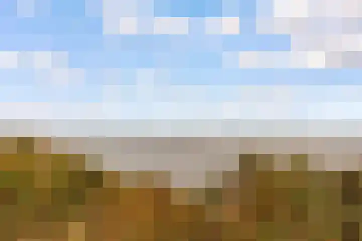 Molenrak 4 Zeewolde thumbnail 53