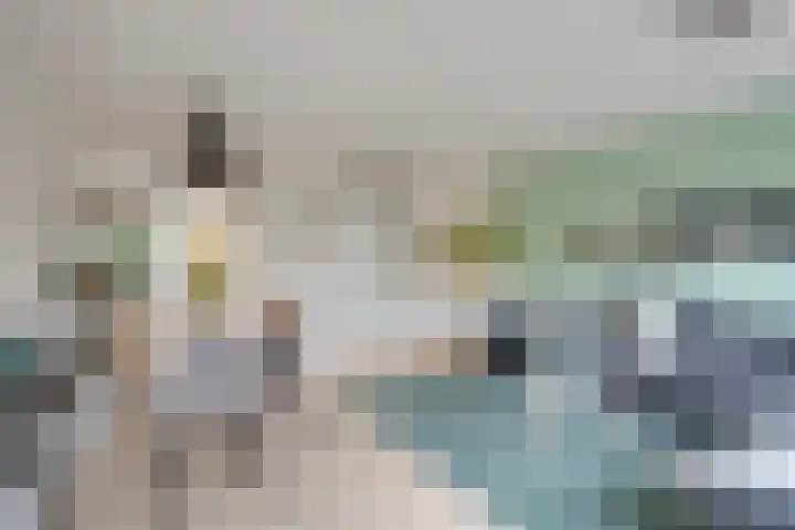Molenrakhof 10 Utrecht thumbnail 10