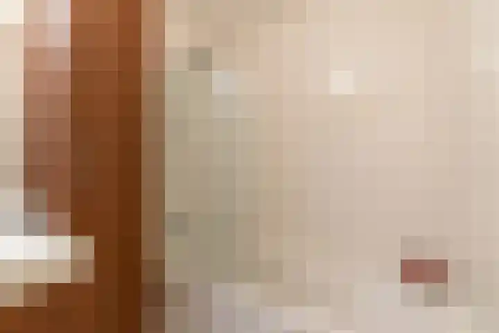 Molenrakhof 10 Utrecht thumbnail 32