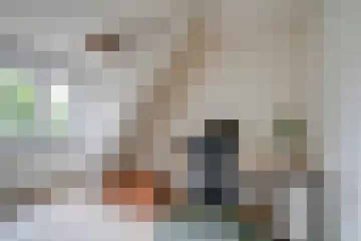 Molenrakhof 10 Utrecht thumbnail 33