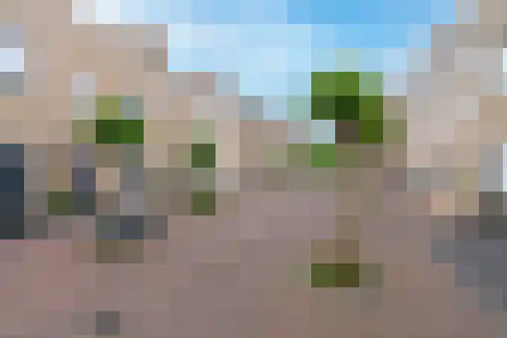 Molenrakhof 10 Utrecht thumbnail 5