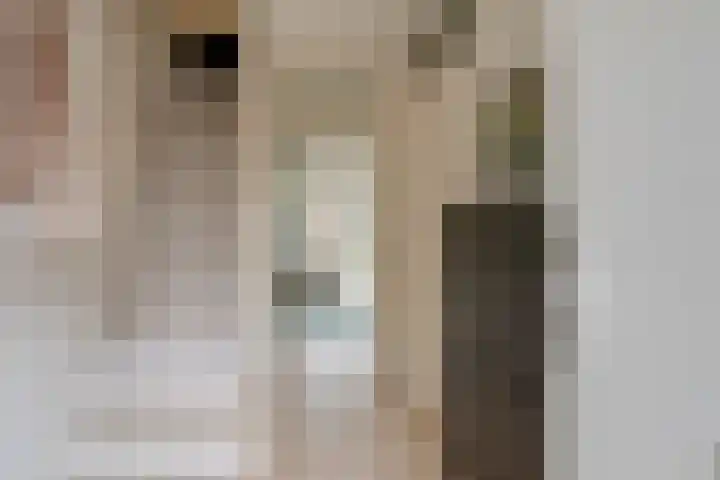 Molenrakhof 10 Utrecht thumbnail 6