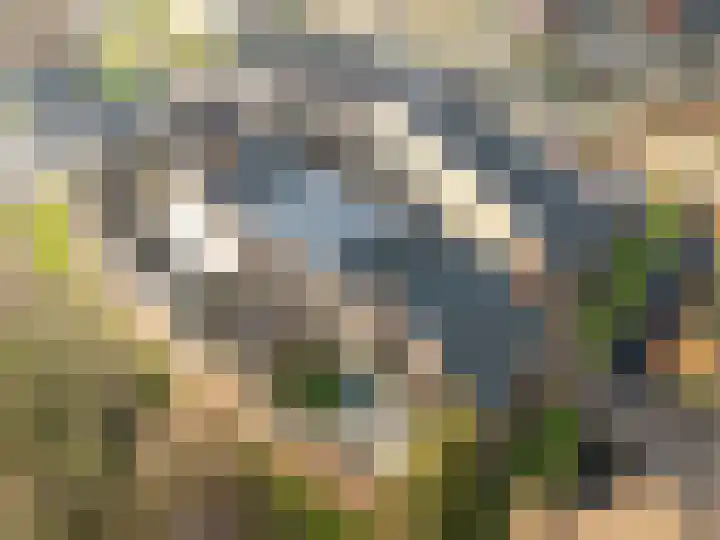 Molenrakhof 17 Utrecht thumbnail 11