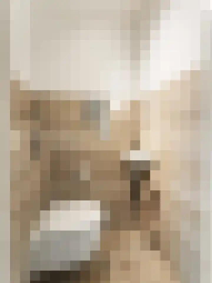Molenrakhof 17 Utrecht thumbnail 17
