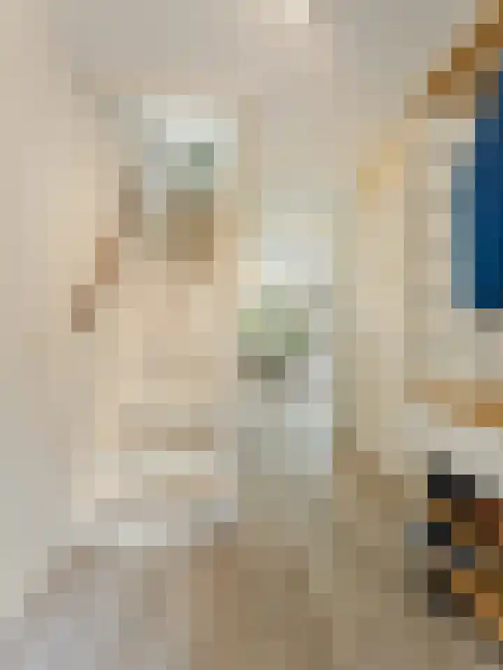 Molenrakhof 17 Utrecht thumbnail 18
