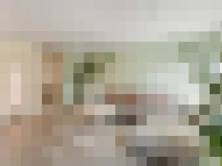 Molenrakhof 17 Utrecht thumbnail 19