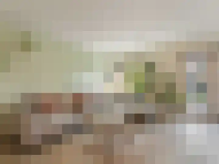 Molenrakhof 17 Utrecht thumbnail 20