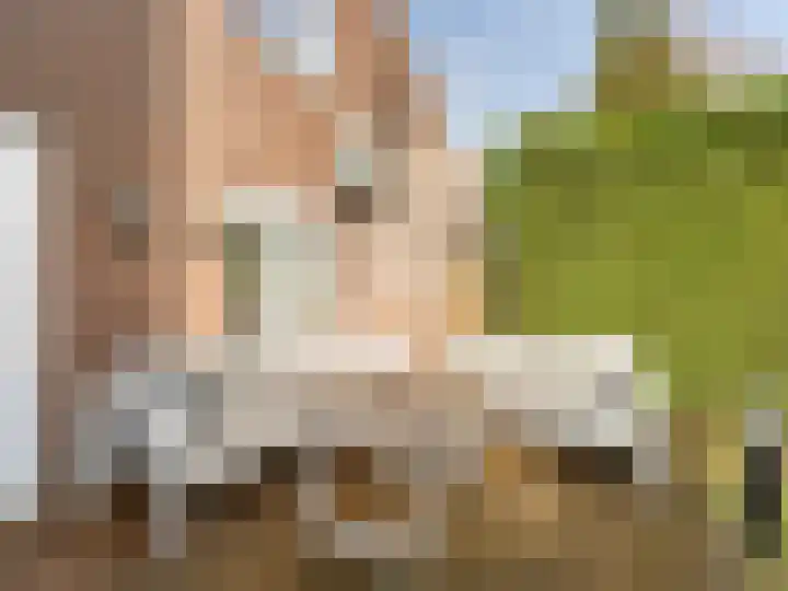 Molenrakhof 17 Utrecht thumbnail 25