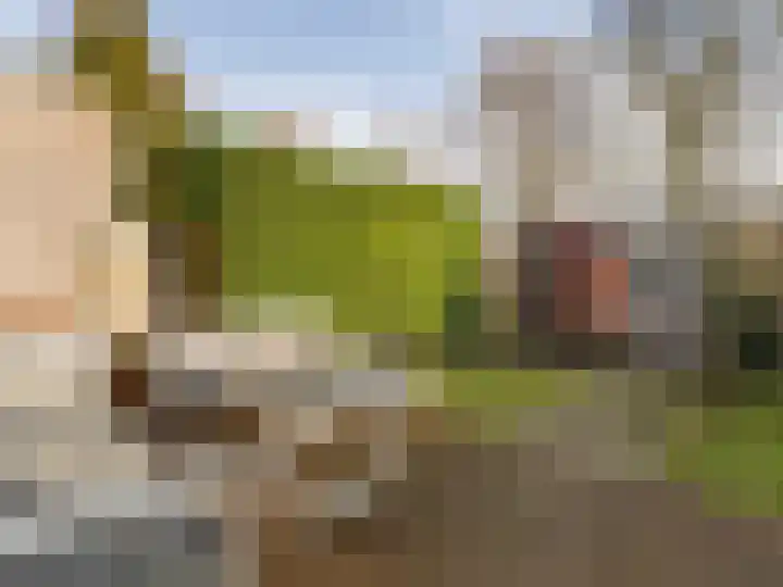 Molenrakhof 17 Utrecht thumbnail 26