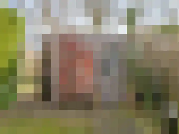 Molenrakhof 17 Utrecht thumbnail 27