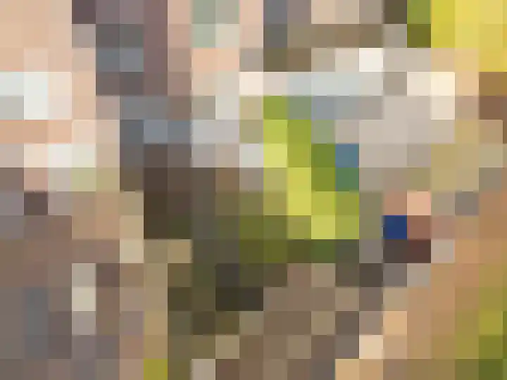 Molenrakhof 17 Utrecht thumbnail 29