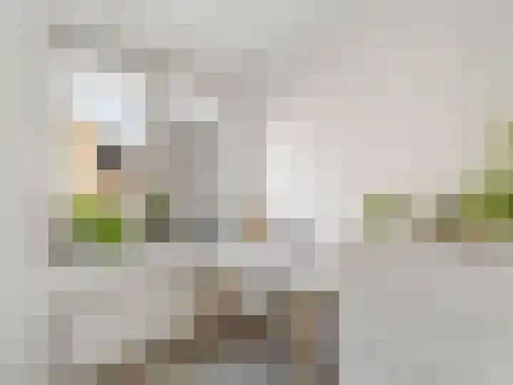 Molenrakhof 17 Utrecht thumbnail 34