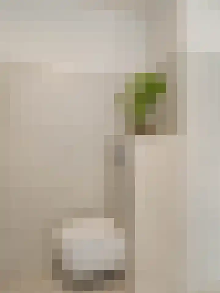 Molenrakhof 17 Utrecht thumbnail 37