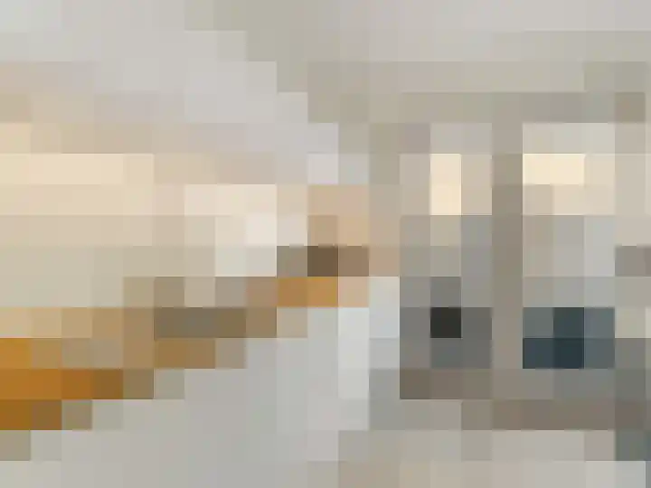 Molenrakhof 17 Utrecht thumbnail 4