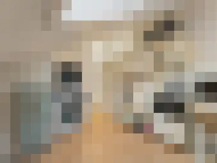 Molenrakhof 17 Utrecht thumbnail 41